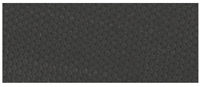 g10