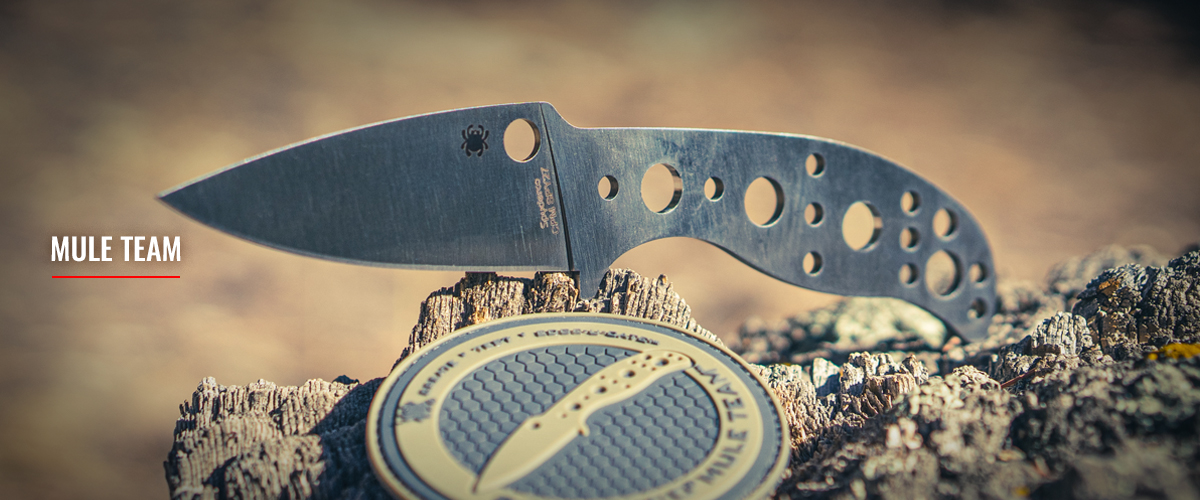 mule team header